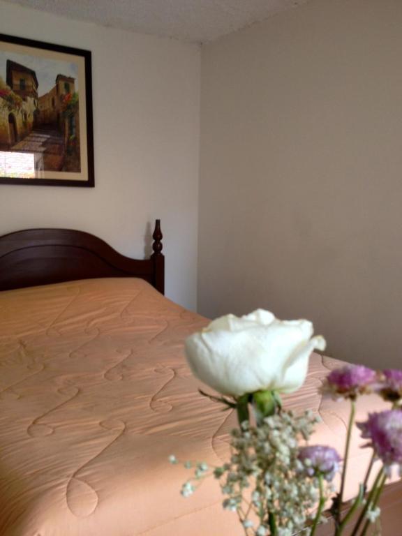 Casa Macondo Bed & Breakfast Куэнка Номер фото